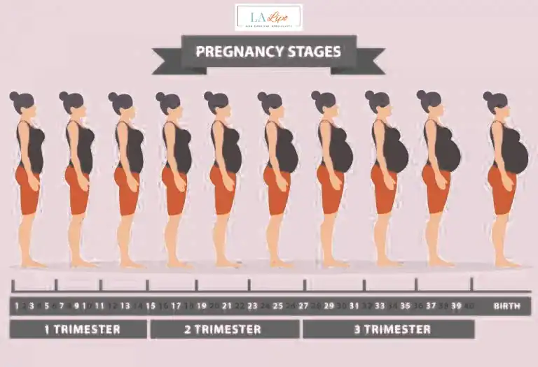 First Trimester (Weeks 1–12): Early Changes You Might Not Notice Tring
